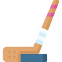 sports and competition,indoor sports,hockey stick,puck,team sports,ice hockey